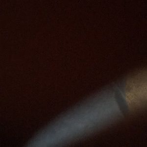 Meet your Posher, Dina